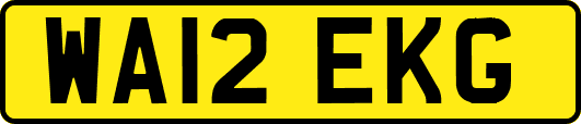 WA12EKG
