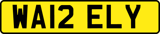 WA12ELY