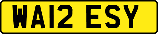 WA12ESY