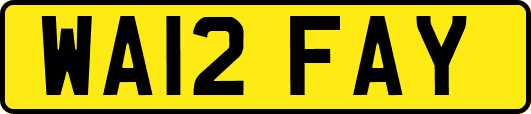 WA12FAY