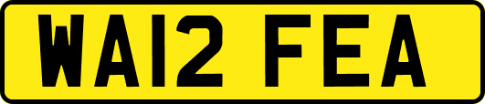 WA12FEA
