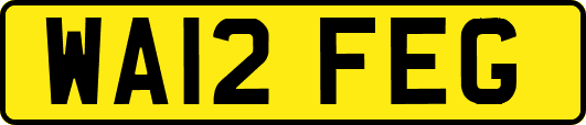 WA12FEG