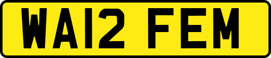WA12FEM