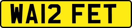 WA12FET