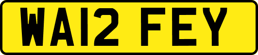 WA12FEY