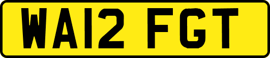 WA12FGT