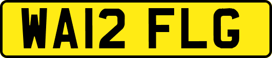 WA12FLG