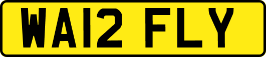WA12FLY