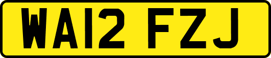 WA12FZJ