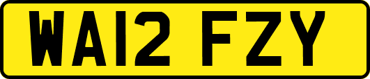 WA12FZY