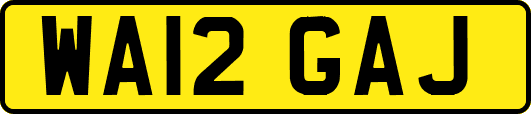WA12GAJ
