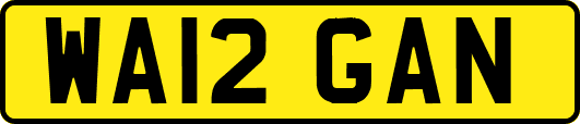 WA12GAN