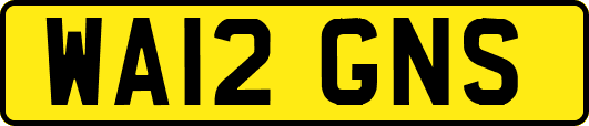 WA12GNS
