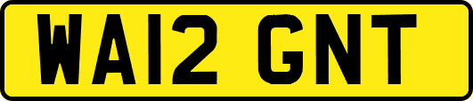 WA12GNT