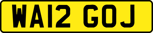 WA12GOJ