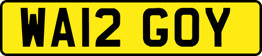 WA12GOY
