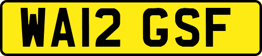 WA12GSF
