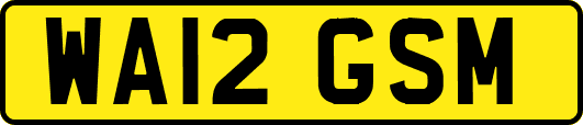 WA12GSM