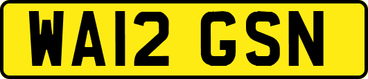 WA12GSN