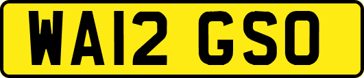 WA12GSO