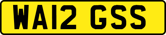 WA12GSS