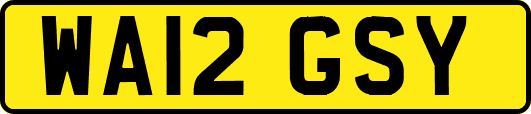 WA12GSY