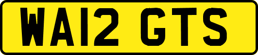 WA12GTS