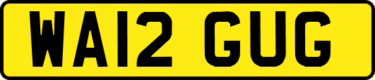 WA12GUG