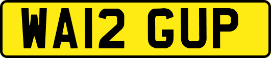 WA12GUP