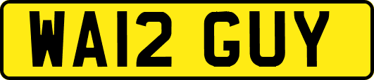 WA12GUY