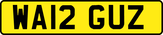 WA12GUZ