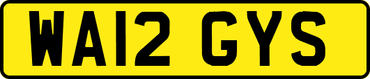 WA12GYS