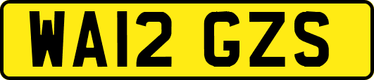 WA12GZS