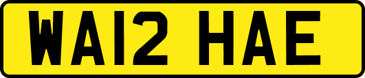 WA12HAE
