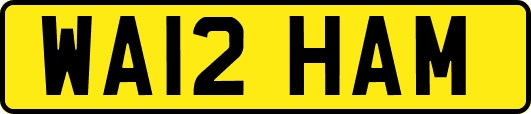 WA12HAM