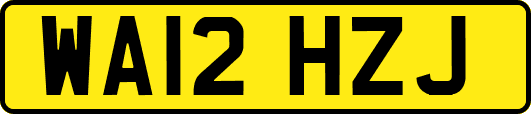 WA12HZJ