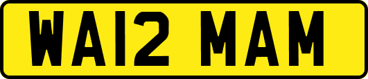 WA12MAM