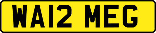 WA12MEG
