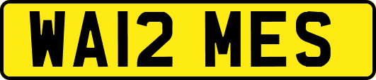 WA12MES