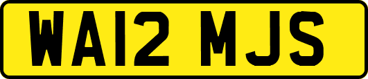 WA12MJS