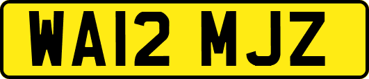 WA12MJZ