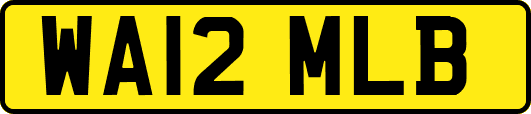 WA12MLB