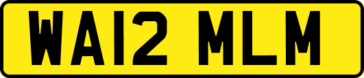 WA12MLM