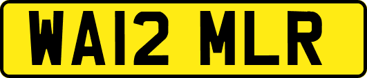 WA12MLR