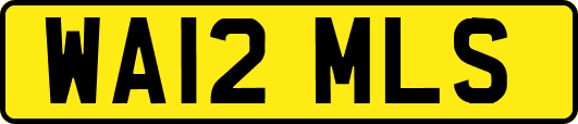 WA12MLS