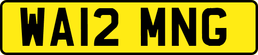 WA12MNG