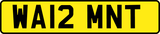WA12MNT