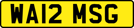 WA12MSG