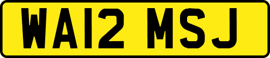 WA12MSJ