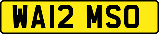 WA12MSO